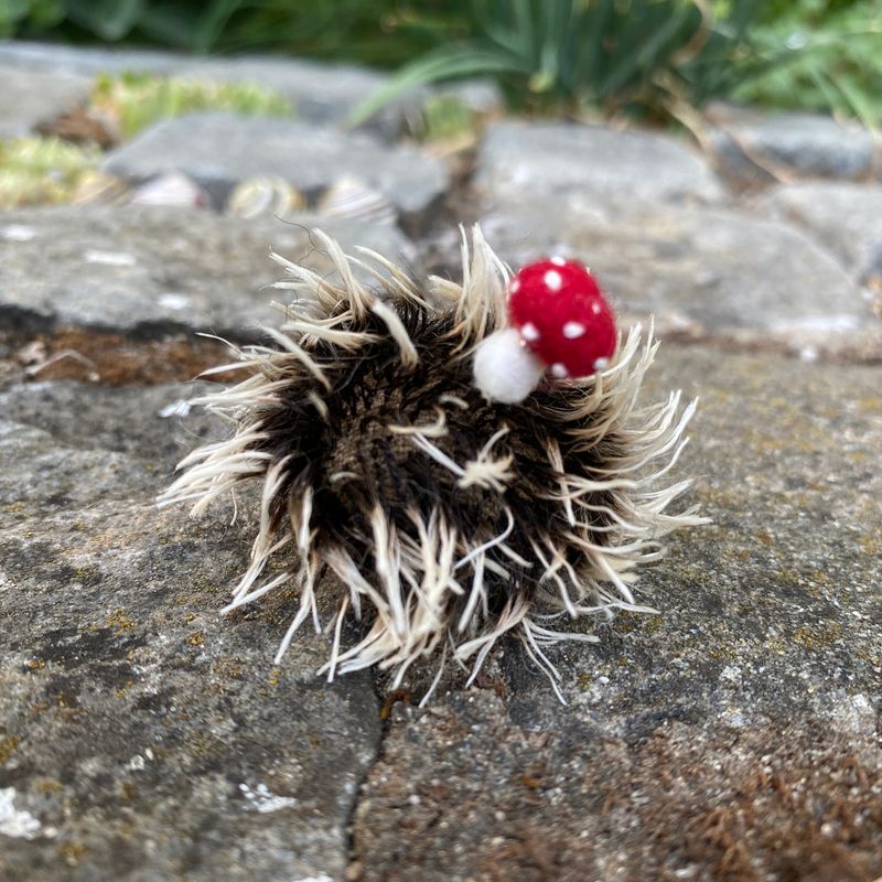 Igel mit Glück