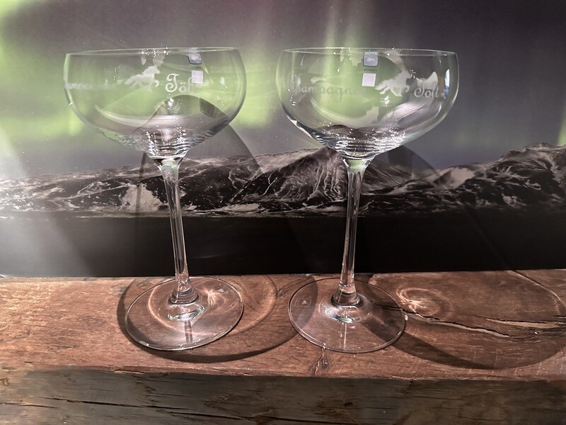 LEONARDO Champagner Schale 2er Set