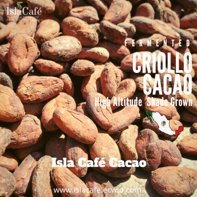 Criollo Cacao Beans - Juarez, Chiapas, Mexico