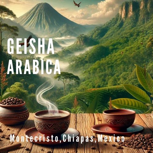 Geisha Arabica Coffee - Roast from Montecristo, Chiapas, Mexico | Specialty Grade