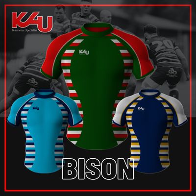 BISON