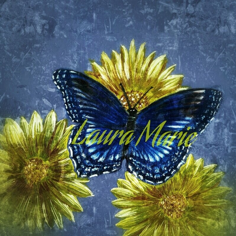 Blue butterfly 3