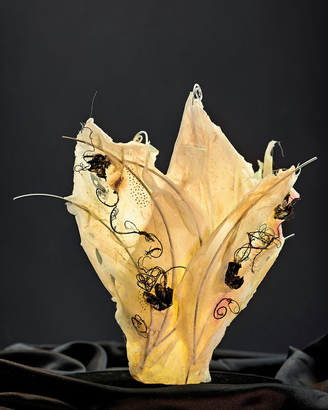 Lichtblüte schwarz-weiss