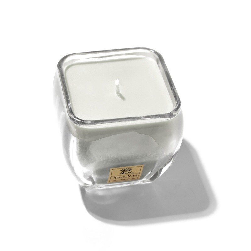 Spanish Moss Glass Candle