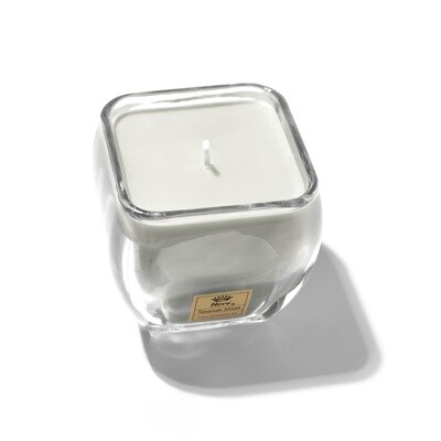 Spanish Moss Glass Candle