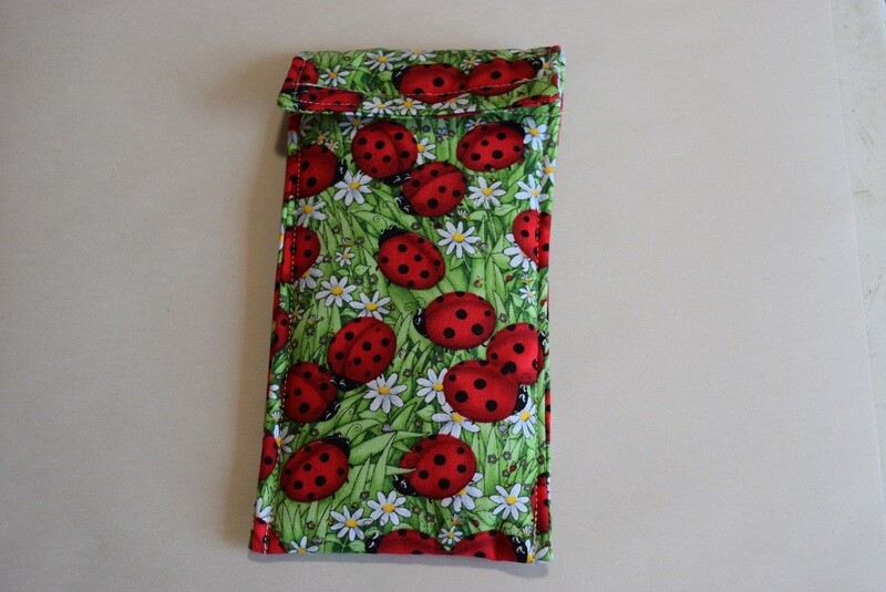 Eyeglass Case