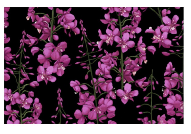 Fireweed Black Fabric/ Pink In Black Fireweed Fabric /Alaska Fabric 