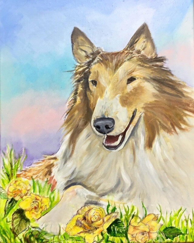 Pet Portraits