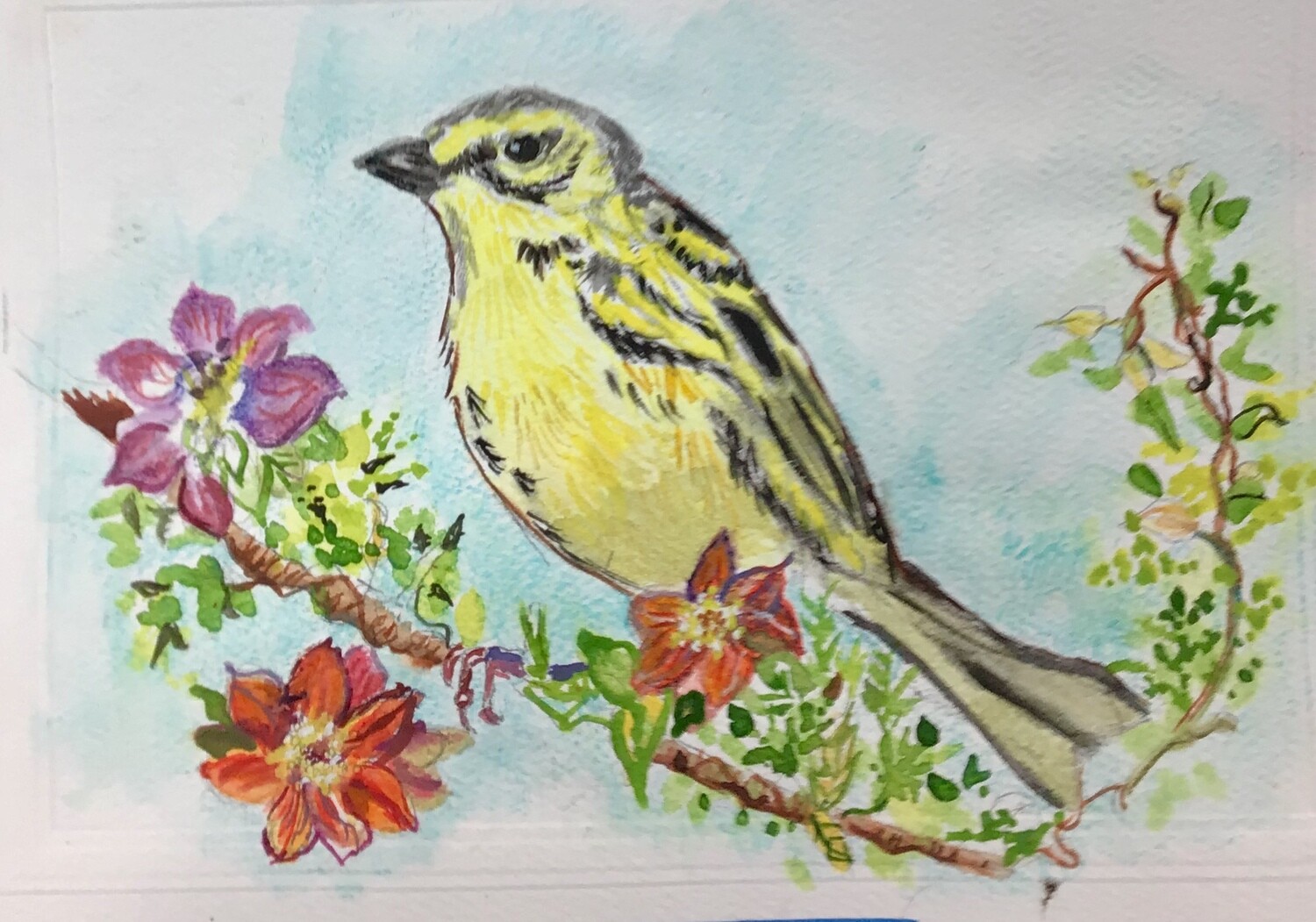 Birds Portraits &amp; Paintings