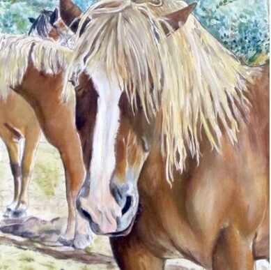 Horse Paintings &amp; Portraits