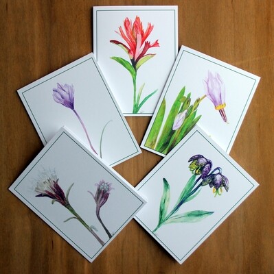 Wildflower Greeting Cards (set of 10)