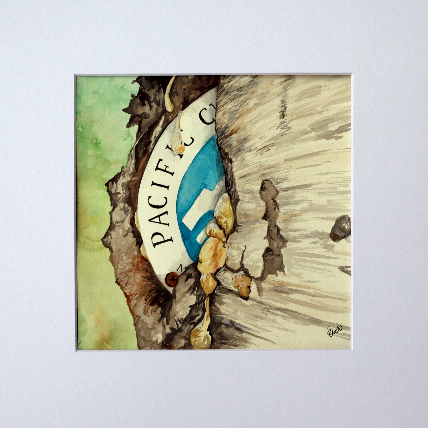 PCT Blaze Watercolor Painting PCT Blaze Watercolor Painting