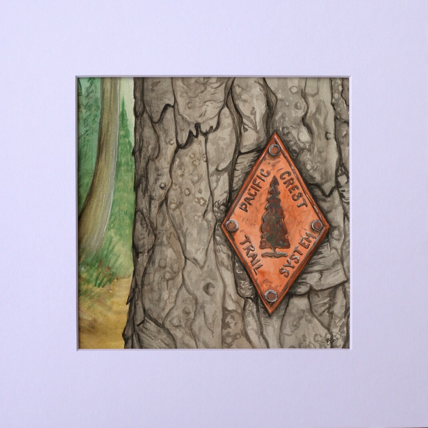 PCT Blaze Watercolor Painting PCT Blaze Watercolor Painting