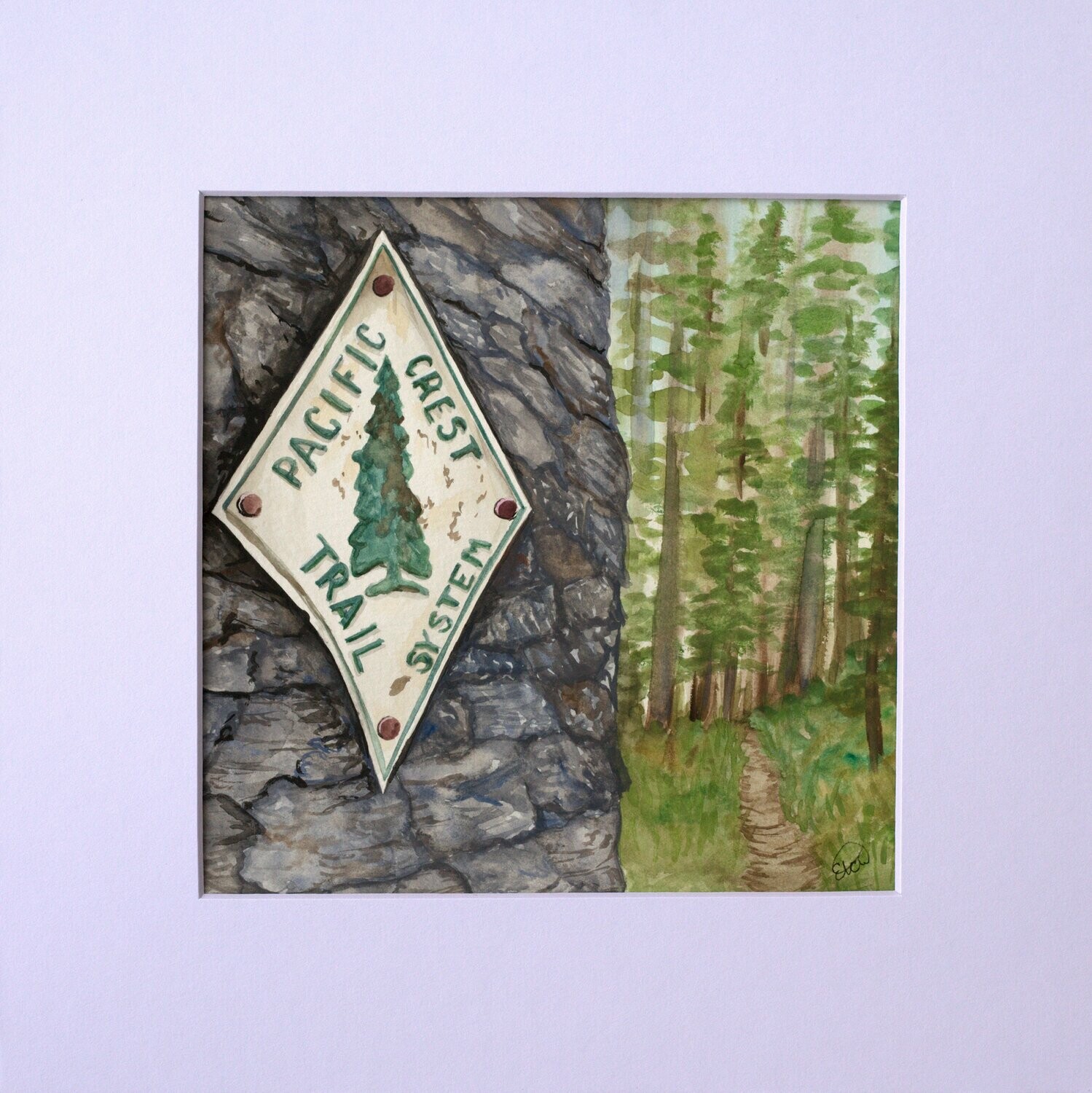 PCT Blaze Watercolor Painting PCT Blaze Watercolor Painting