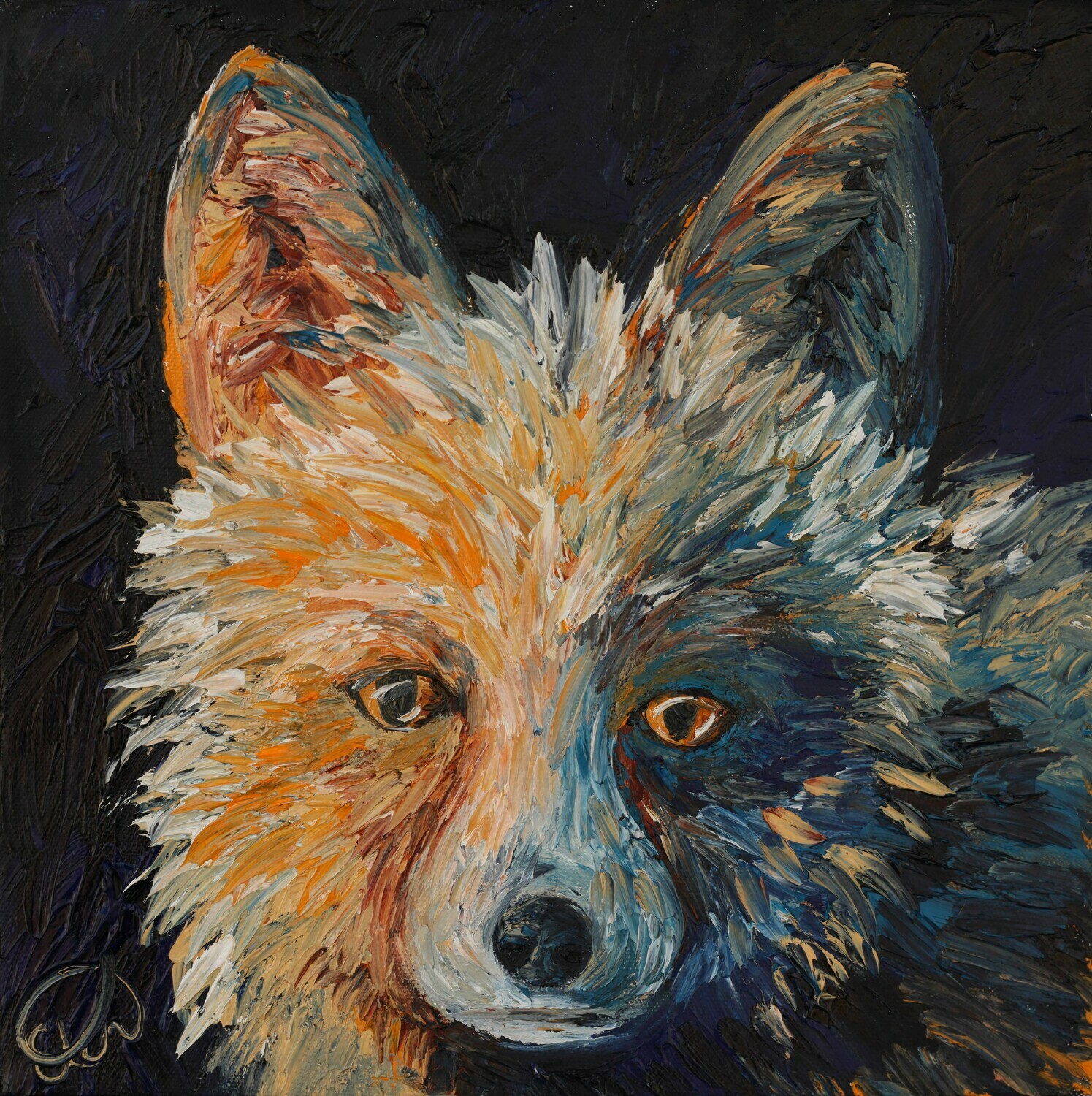 Night Fox Night Fox