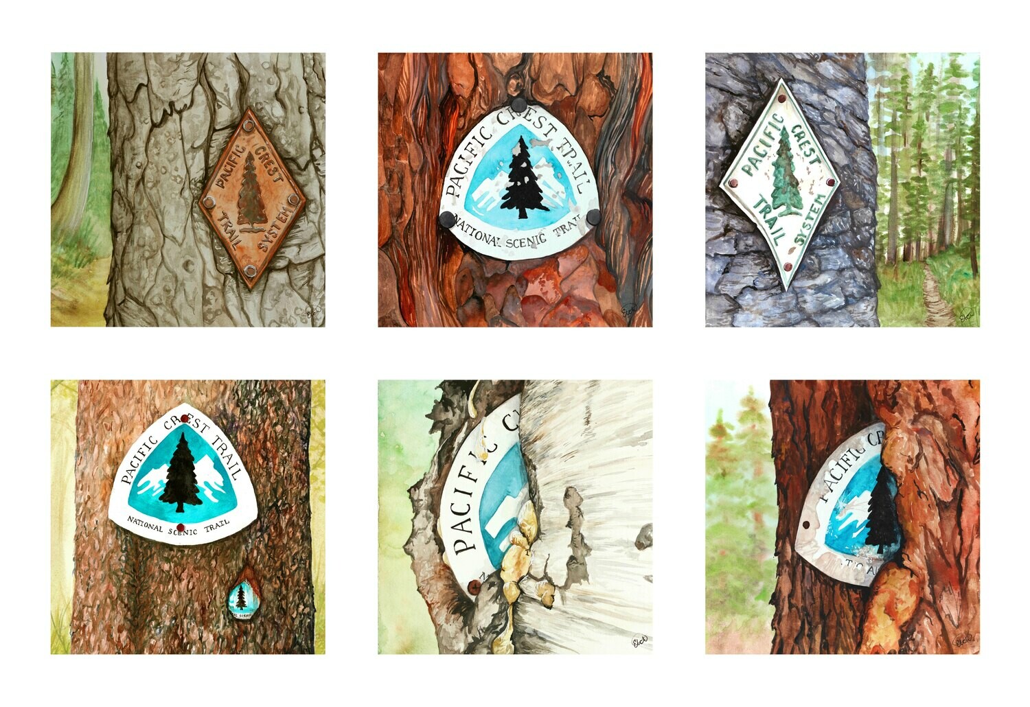 PRINT: PCT Trail Blaze Collection PRINT: PCT Trail Blaze Collection
