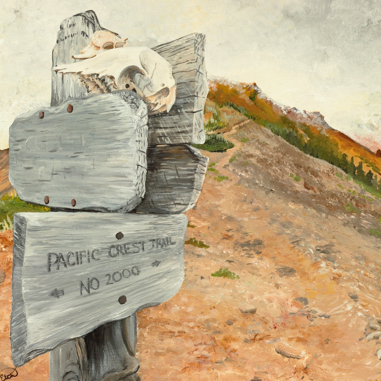 Print: A Sign at Goat Rocks Print: A Sign at Goat Rocks