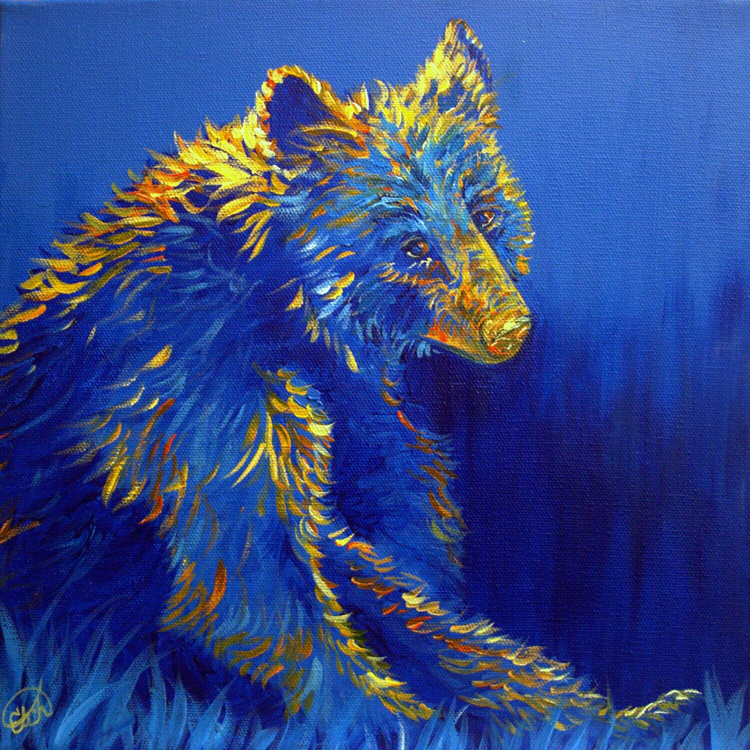 The Look of a Bear 12"x12" The Look of a Bear 12"x12"