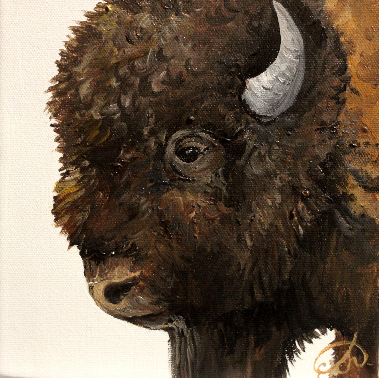 Bison Mini! Bison Mini!