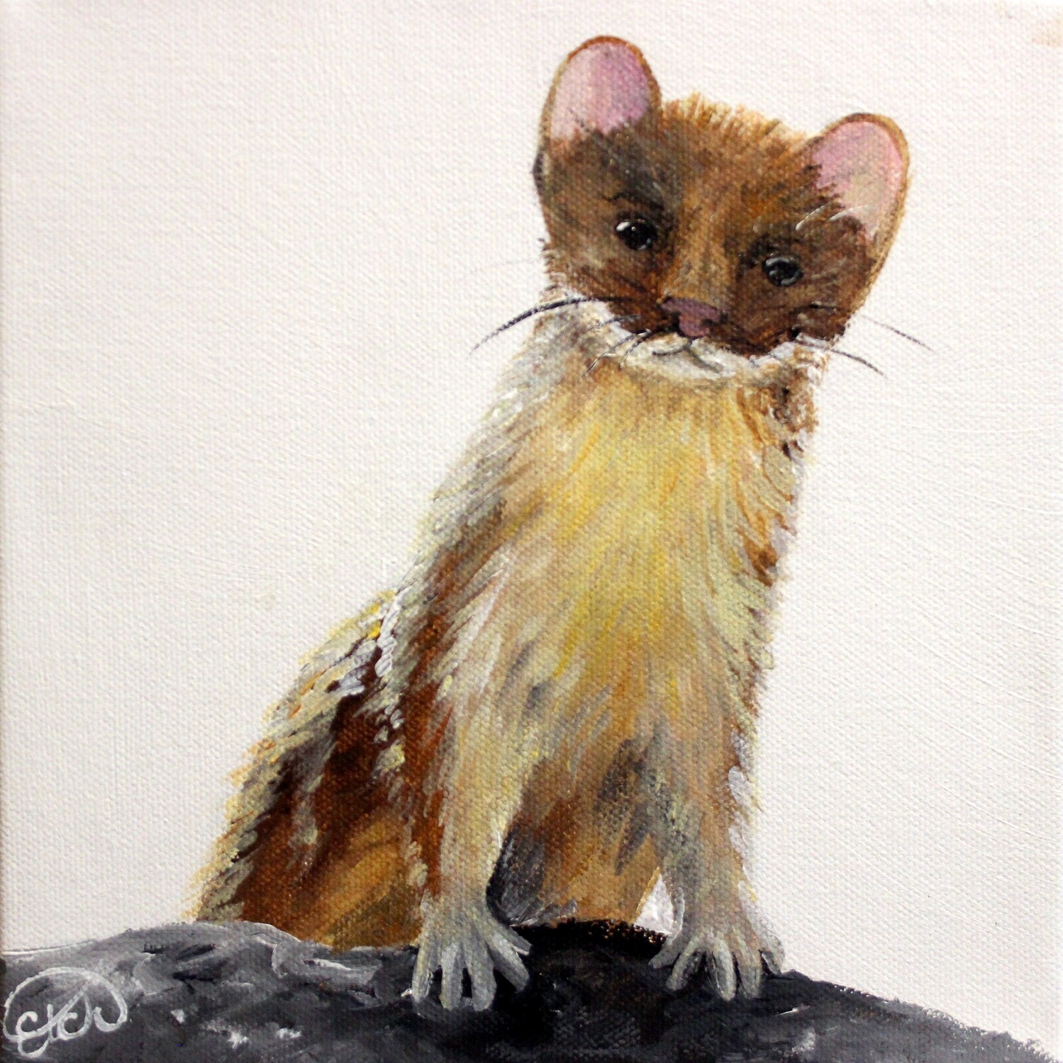 Available at ART FOCUS GALLERY: Weasel Mini! Available at ART FOCUS GALLERY: Weasel Mini!