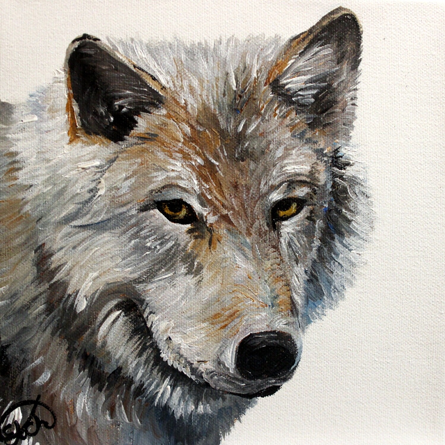 Wolf Mini! Wolf Mini!