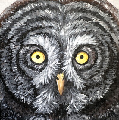 Great Grey Owl Mini Painting!