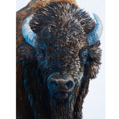 Portrait of a Buffalo (30"x40")