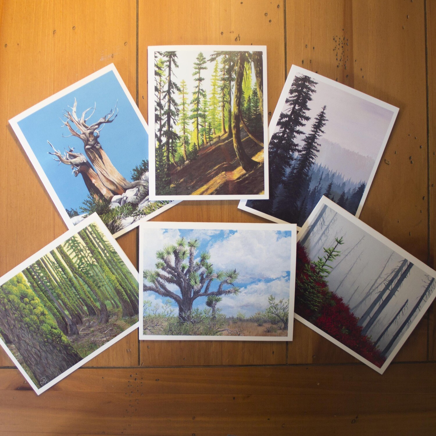 Trees of the West (PCT) Greeting Cards (set of 6)