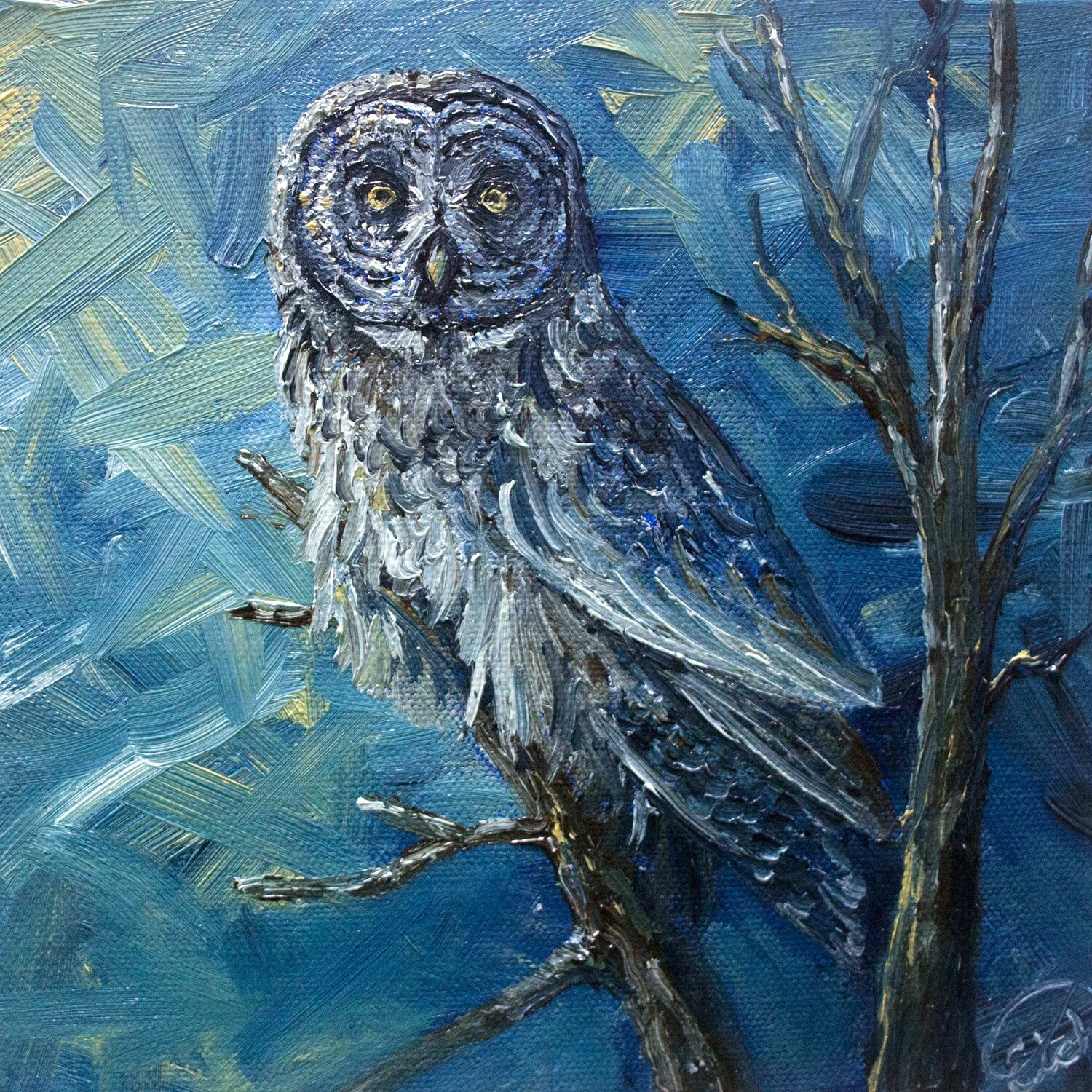 Evening Great Grey Owl (Framed)