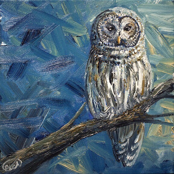 Evening Barred Owl (Framed)