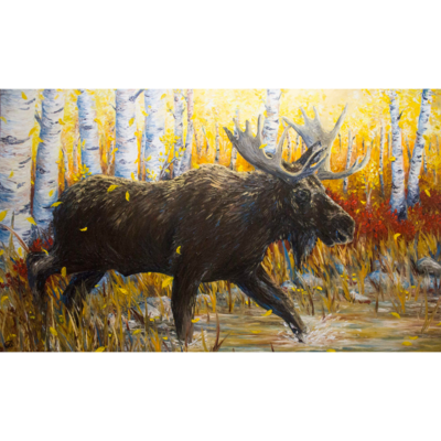 Bull Moose in the Autumn (60"x36")