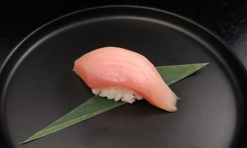 Maguro(Tuna)