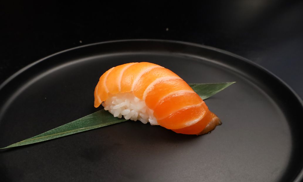 Salmon