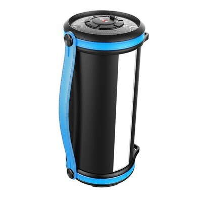 Portable Electronics