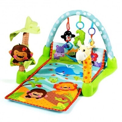 Baby Gyms &amp; Playmats