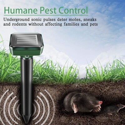 Mosquito &amp; Pest Control