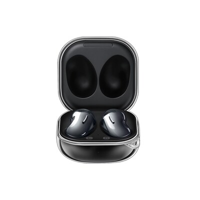 Earphones Accessories