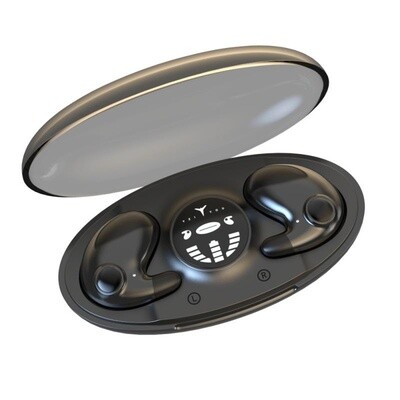 Bluetooth Earphones
