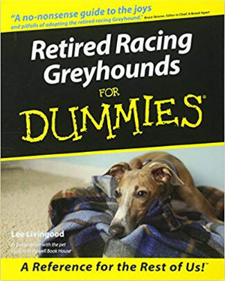 Retired Racing Greyhounds for Dummies