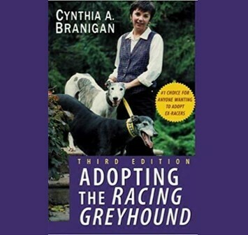 Adopting the Racing Greyhound