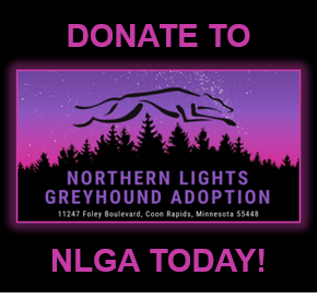 NLGA Donations