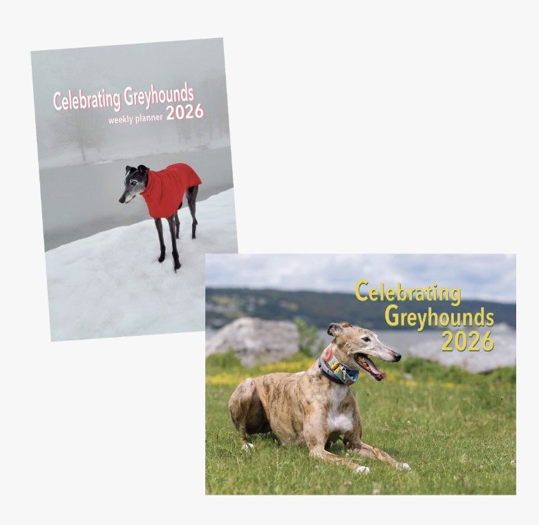 2026 Celebrating Greyhounds Calendar