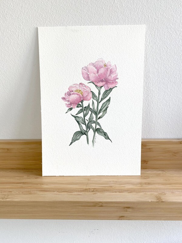 Pink Peonies