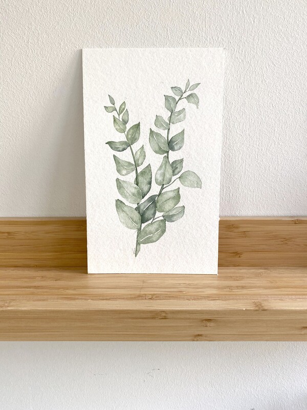 Eucalyptus (Small)