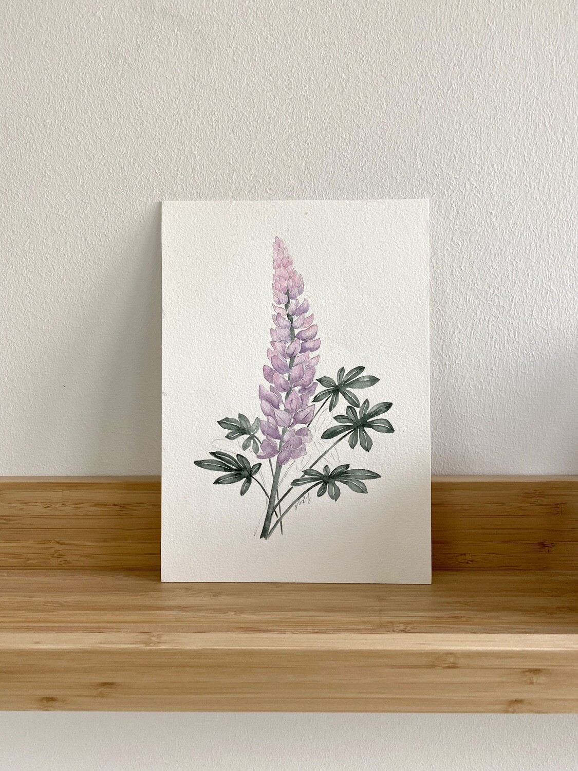 CA Native Purple Lupine