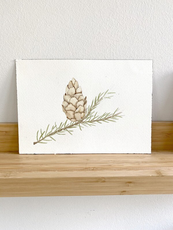 Pine Cone