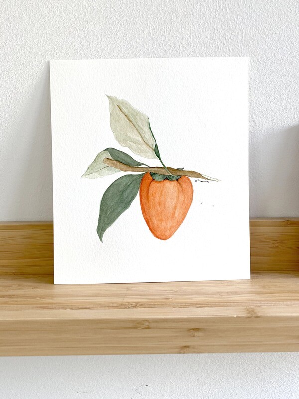 Persimmon