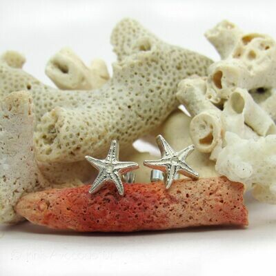 Hand Cast Tiny Starfish Studs