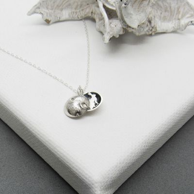 Moon Pendant with Secret Sitting Hare Moon Pendant with Secret Sitting Hare