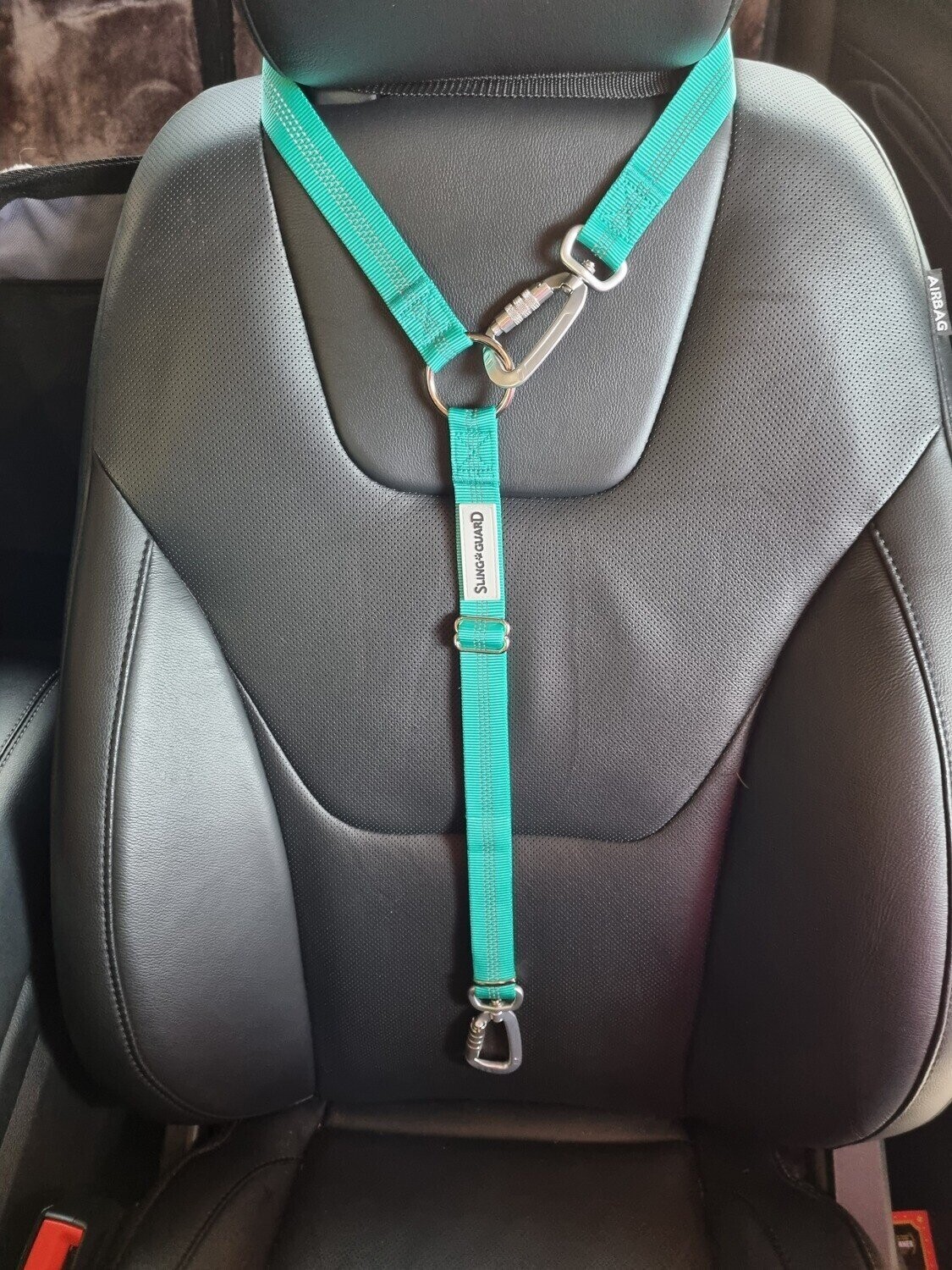 CAR HEADREST SAFETY LEAD